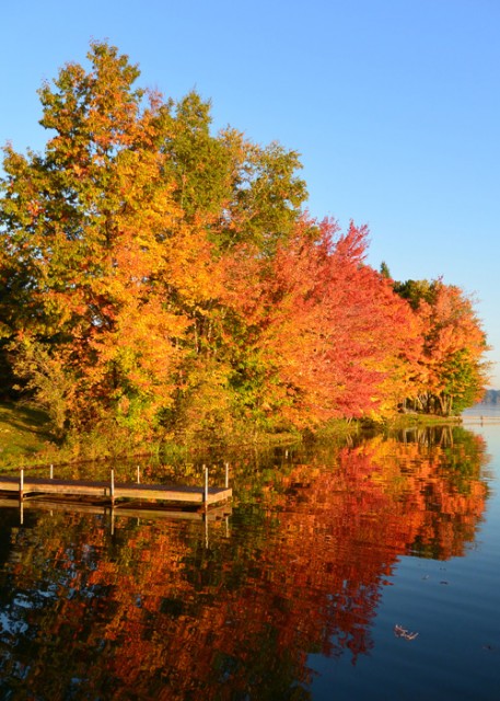 Morning Color by Sue Binder - 9/26